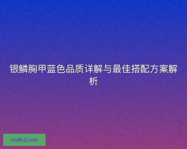 银鳞胸甲蓝色品质详解与最佳搭配方案解析
