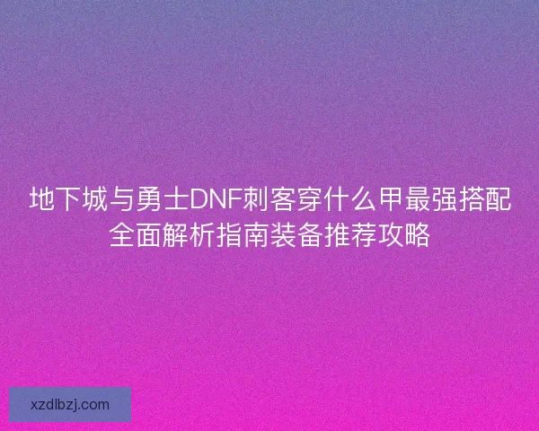地下城与勇士DNF刺客穿什么甲最强搭配全面解析指南装备推荐攻略 地下城与勇士DNF刺客穿什么甲最强搭配全面解析指南装备推荐攻略